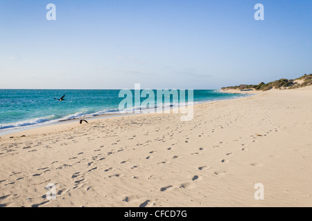 The beach of Anakao, southern Madagascar Stock Photo