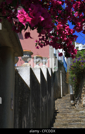 Steps up a garden wall, following steps up the hill side ornate planters perched on top of wall symmetrical line following. Stock Photo