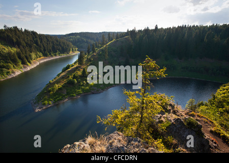 Rappbode reservoir, view over the upstream dam, near Hasselfelde, Harz mountains, Saxony-Anhalt, Germany Stock Photo