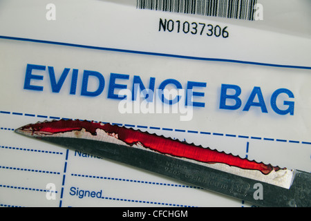 A simulated serrated edged bloodied knife on a British police Evidence Bag (as used in the UK). Stock Photo