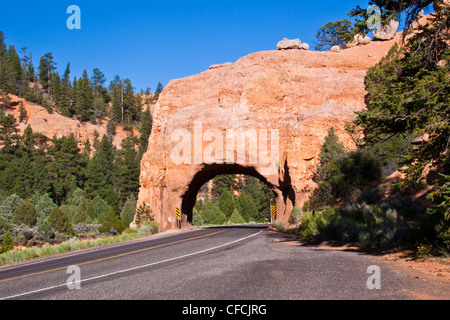 Tunnel on Red Rock Canyon on scenic highway 12 in Dixie National Forest in Utah. Stock Photo
