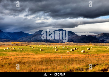 Prairies meet the Rocky Mountains, near Waterton Lakes National Park, Alberta, Canada Stock Photo