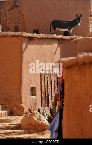 Kasbah Ait Benhaddou, mule or donkey standing on a flat roof of a shop, Ait Benhaddou, Atlas Mountains, South of the High Atlas, Stock Photo