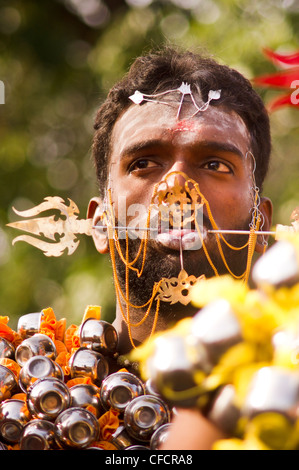 Mortification of the flesh, body piercing of Thaipusam Malaysia in Penang, 2011. Stock Photo