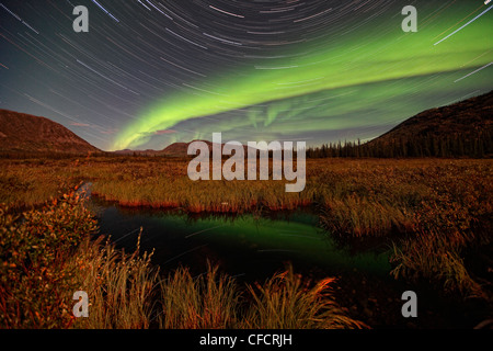 Timed exposure of startrails and aurora over unnamed stream near Whitehorse, Yukon. Stock Photo