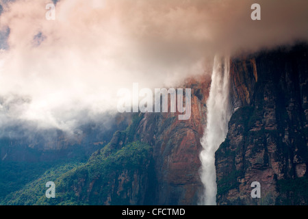 Angel Falls, Canaima National Park, UNESCO World Heritage Site, Guayana Highlands, Venezuela, South America Stock Photo