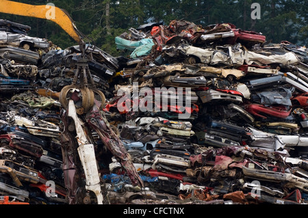 Crane lifting flattened cars out of stack of obsolete cars in recycling yard, Vancouver Island, British Columbia, Canada Stock Photo