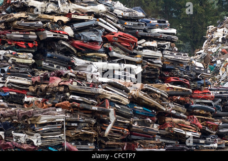 Stacks of obsolete cars in recycling yard, Vancouver Island, British Columbia, Canada Stock Photo