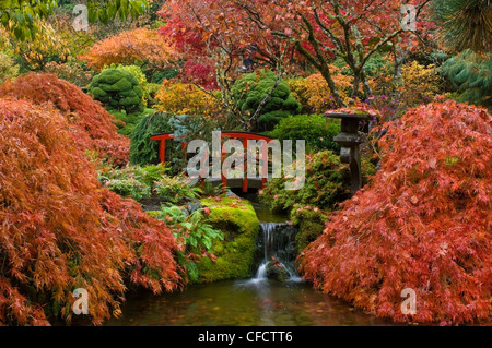 Japanese Garden in autumn at the Butchart Gardens, Victoria, Vancouver Island, British Columbia, Canada Stock Photo