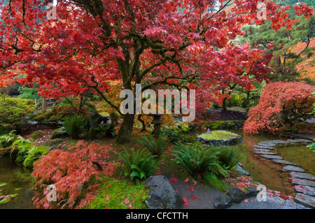 Japanese Garden in autumn at the Butchart Gardens, Victoria, Vancouver Island, British Columbia, Canada Stock Photo