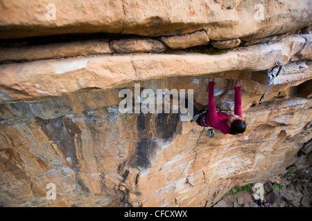 A young strong asian woman rockclimbing at Lost Boys crag in Jasper National Park, Alberta, Canada Stock Photo