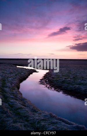 Stream meandering into the distance and reflecting colours in the twilight sky, near Hella, South Iceland, Iceland Stock Photo