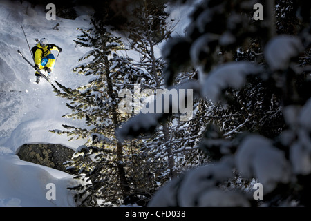 Freerider jumping, Chandolin, Anniviers, Valais, Switzerland Stock Photo