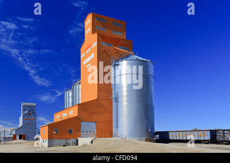 Grain Elevators and blue sky. Morse, Saskatchewan, Canada. Stock Photo