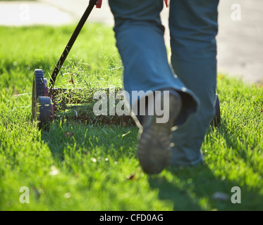Woman cutting grass with environmentally friendly lawn mower. Winnipeg, Manitoba, Canada. Stock Photo