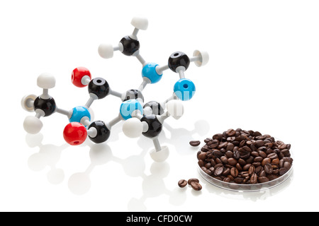 Ball and stick model of a caffeine molecule Stock Photo - Alamy