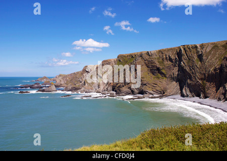 Cliffs at Hartland Quay, Devon, England, United Kingdom, Europe Stock Photo
