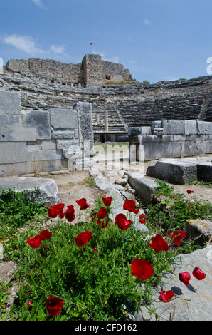 Amphitheatre at Miletus, an ancient Greek city on the western coast of Anatolia, Turkey. Stock Photo