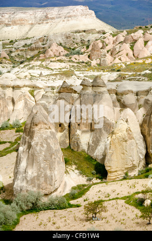 Hoodoos in unique landscape near Goreme, Cappadocia, also Capadocia, Central Anatolia, largely in Nevşehir Province, Turkey Stock Photo