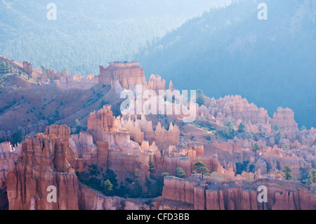 Backlit sandstone hoodoos in Bryce Amphitheater, Bryce Canyon National Park, Utah, United States of America, Stock Photo