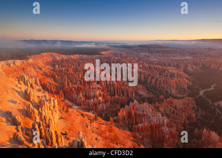 Sandstone hoodoos in Bryce Amphitheater, sunrise with low mist, Bryce Canyon National Park, Utah, United States of America Stock Photo