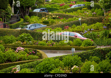 Traffic slowly zigzags down Lombard Street, the crookedest street in the city, San Francisco, California, USA Stock Photo