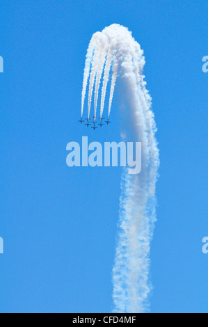 The Canadian Forces Snowbirds performing Canadian Stock Photo