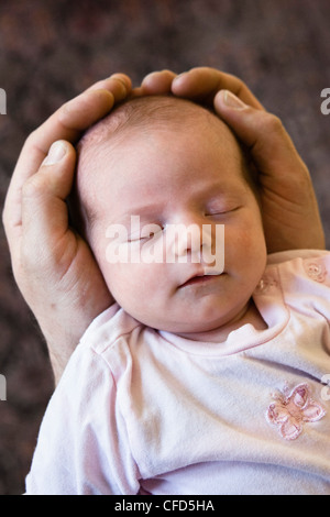 Baby sleeping in father's hands, Germany, Europe Stock Photo