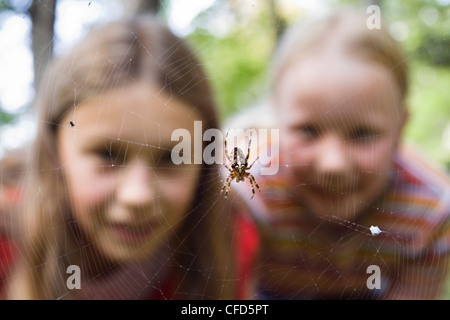 9 year old girls looking at a garden spider in the web, Upper Bavaria, Germany, Europe Stock Photo