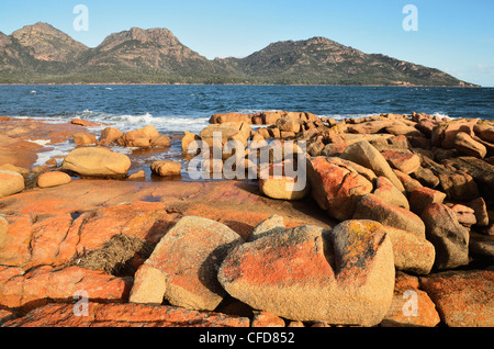 Red lichen on rocks, The Hazards and Coles Bay, Freycinet National Park, Freycinet Peninsula, Tasmania, Australia, Pacific Stock Photo