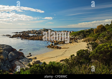 Beach at St. Helens Conservation Area, St. Helens, Tasmania, Australia, Pacific Stock Photo