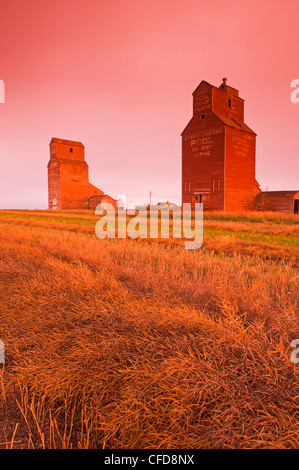 Grain elevators, abandoned town of Lepine, Saskatchewan, Canada Stock ...