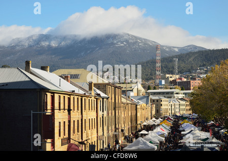 Salamanca Market, Hobart, Tasmania, Australia, Pacific Stock Photo