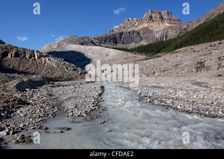 View up the Peyto River, Banff National Park, Canadian Rockies, Alberta, Canada Stock Photo