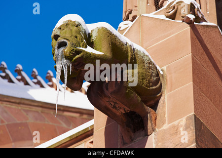 Munster cathedral with gargoyles and other sculptures, square Munsterplatz, Freiburg, Snow, Black Forest, Baden Wuerttemberg, Ge Stock Photo