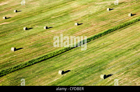 Aerial photography over the south cariboo region of British Columbia ...