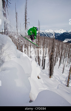 A man catches some air while skiing in a burnt forest on a cat ski trip. Monashee mountains, Britsh Columbia, Canada Stock Photo