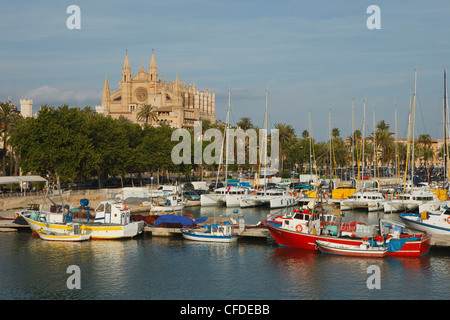 Fishing boats at harbour in front of Cathedral La Seu, Palma de Mallorca, Mallorca, Balearic Islands, Spain, Europe Stock Photo