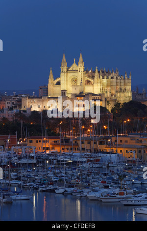 View of harbour, cathedral La Seu and palace Palau de l'Almudaina, Palma de Mallorca, Mallorca, Balearic Islands, Spain, Europe Stock Photo