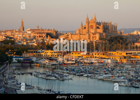 View of harbour, cathedral La Seu and palace Palau de l'Almudaina in the light of the evening sun, Palma de Mallorca, Mallorca, Stock Photo