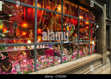 Shop window on Rue St Romain Rouen Seine-Maritime Normandy France Stock Photo