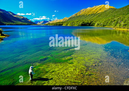 Man fly fishing, Mavora Lake, South Island, New Zealand Stock Photo