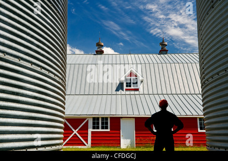 closeup of grain bins with red barn in the background near Torquay, Saskatchewan, Canada Stock Photo