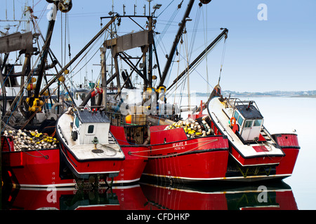 Fishing boats tied up at Yarmouth Wharf, Nova Scotia, Canada Stock Photo