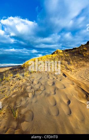 Sand Dune, Cavendish Beach, Prince Edward Island National Park, Prince Edward Island, Canada Stock Photo