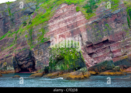 South Head coastline, Bay Bulls, Newfoundland, Canada Stock Photo