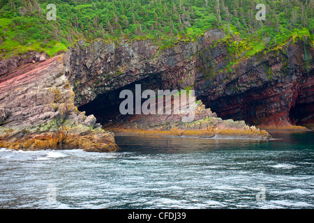 South Head coastline, Bay Bulls, Newfoundland, Canada Stock Photo