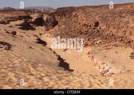 Erosion helps form stunning geological formations in the Coloured Canyon in the Sinai Desert, Egypt, North Africa, Africa Stock Photo