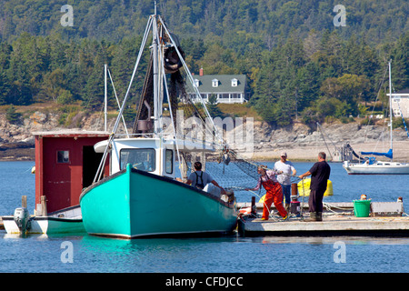 People working on fishing net, North Head harbour, Grand Manan Island, Bay of Fundy, New Brunswick, Canada Stock Photo