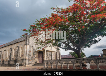 Delonis Regia (Flamboyant) front of the Catholic Church of Ambilobe, northern Madagascar Stock Photo